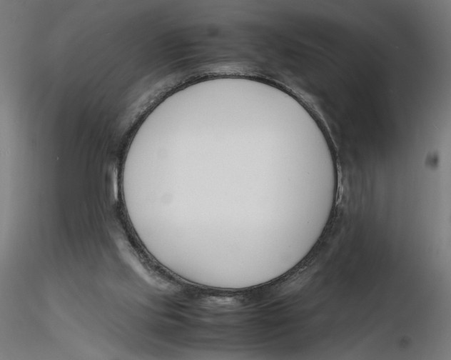 X0000116260061200912291505