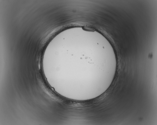 X0000116260062200912291505