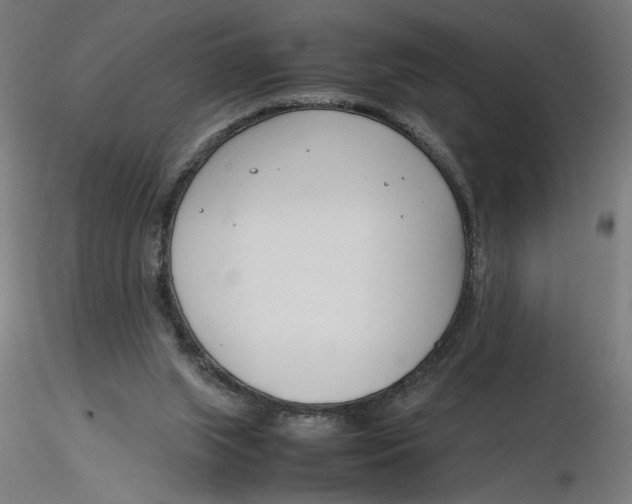 X0000116260063200912291505