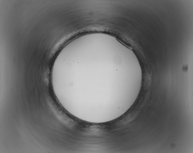 X0000116260064200912291505