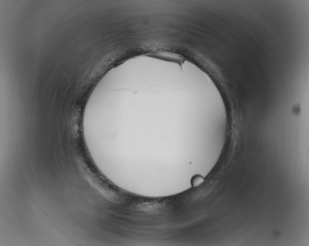 X0000116260065200912291505