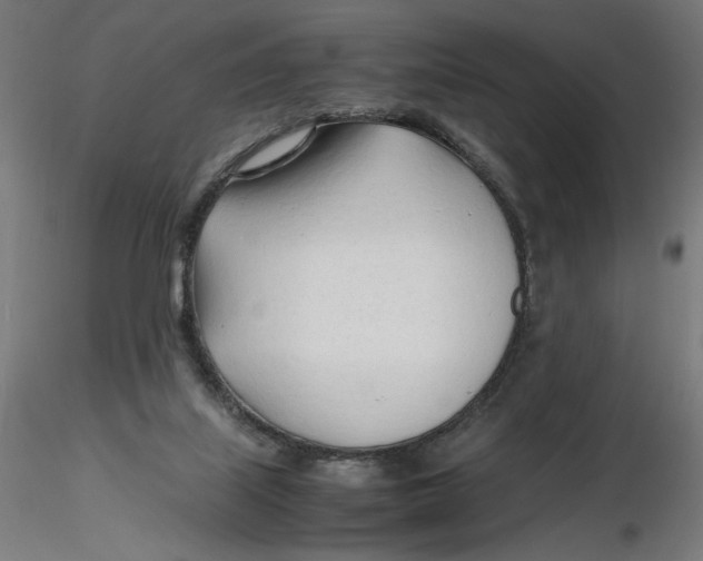 X0000116260067200912291505