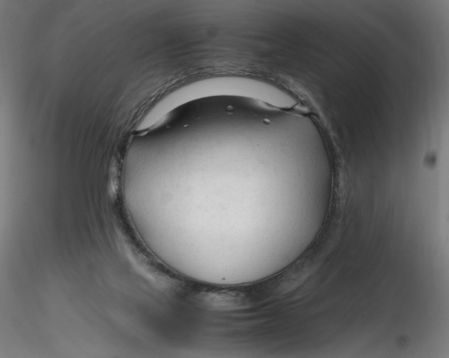 X0000116260069200912291505