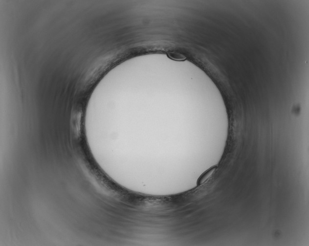 X0000116260070200912291505