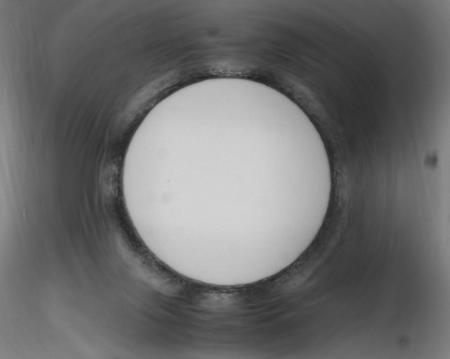X0000116260071200912291505