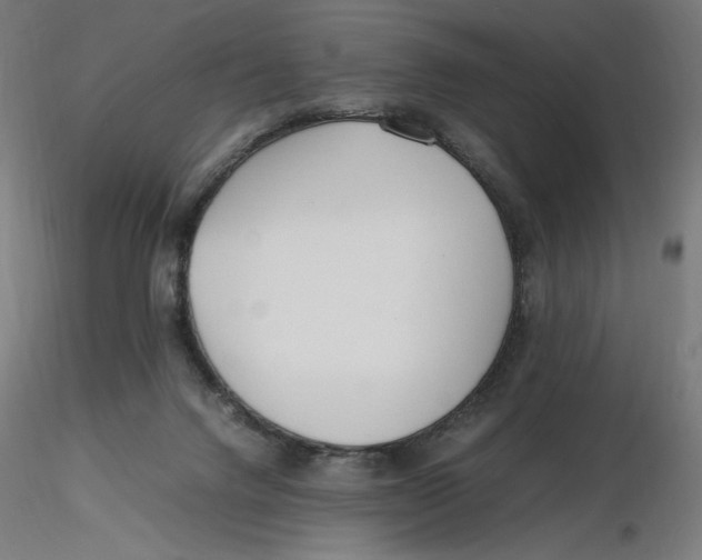 X0000116260072200912291505
