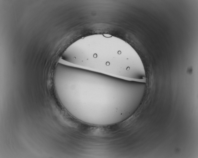 X0000116260074200912291505