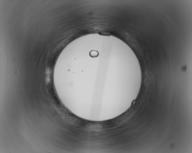 X0000116260075200912291505