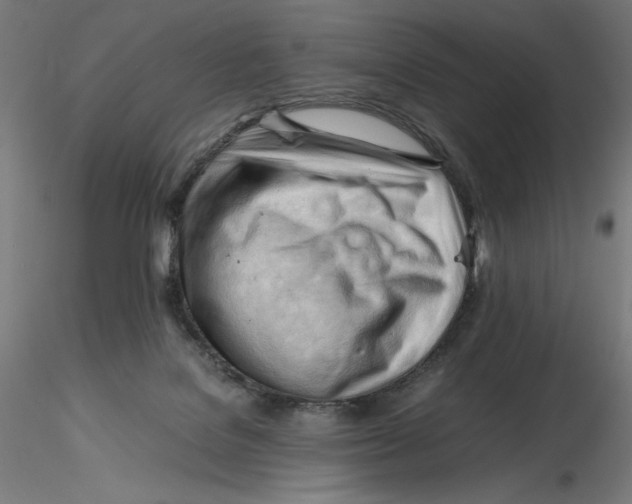 X0000116260076200912291505
