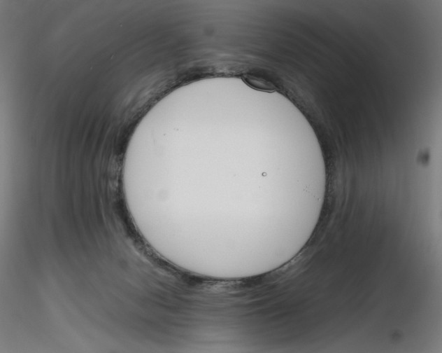 X0000116260078200912291505