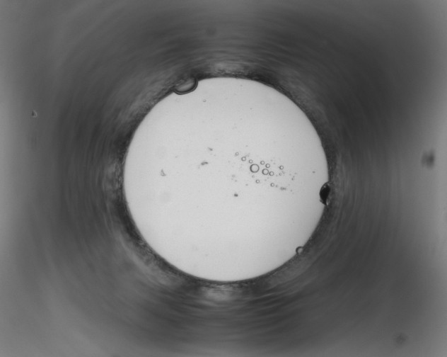 X0000116260079200912291505