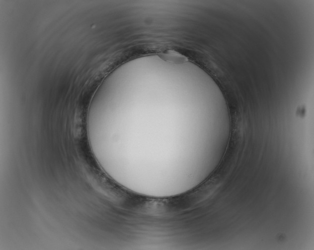 X0000116260080200912291505