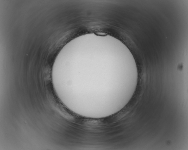 X0000116260081200912291505