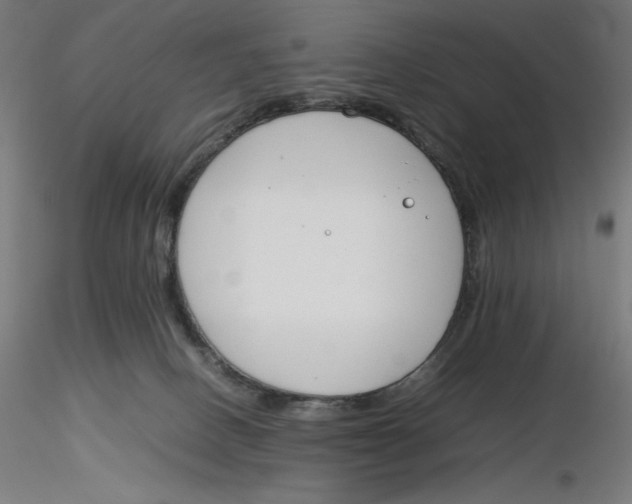 X0000116260082200912291505