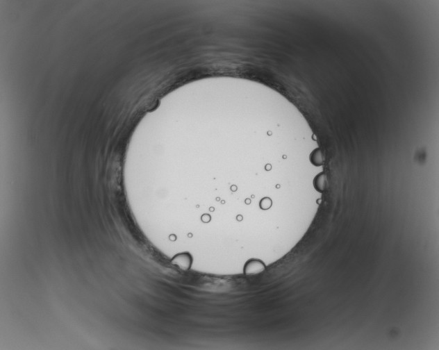 X0000116260083200912291505