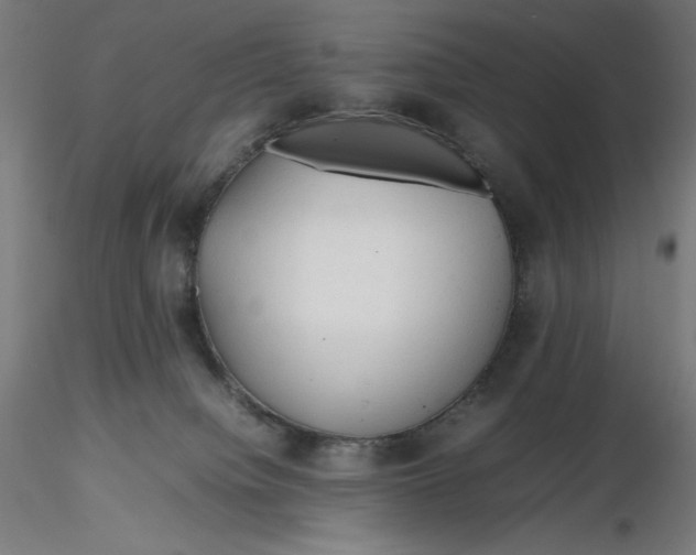 X0000116260084200912291505