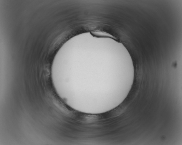 X0000116260085200912291505