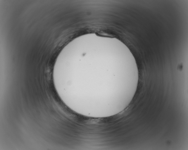 X0000116260086200912291505