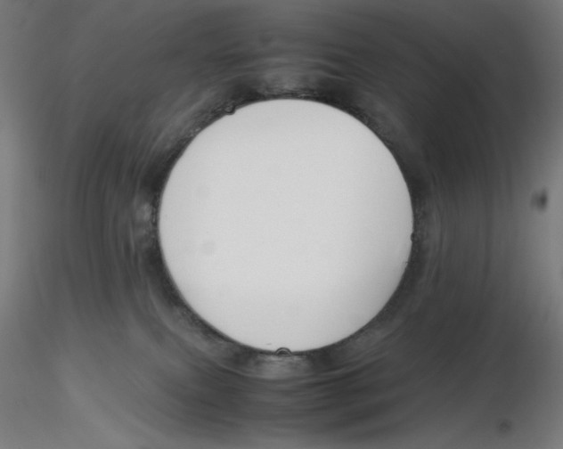 X0000116260087200912291505