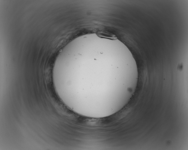 X0000116260088200912291505
