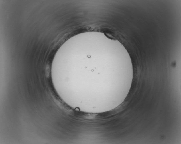 X0000116260090200912291505