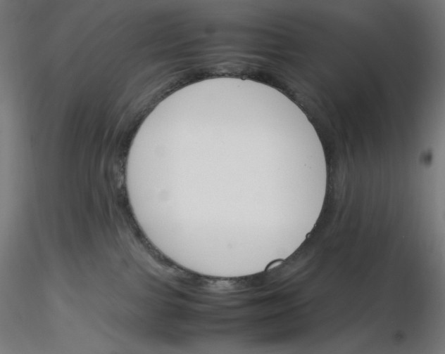 X0000116260091200912291505