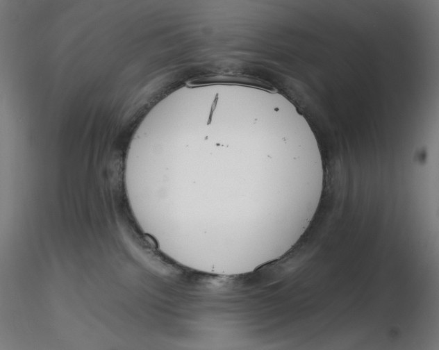X0000116260092200912291505