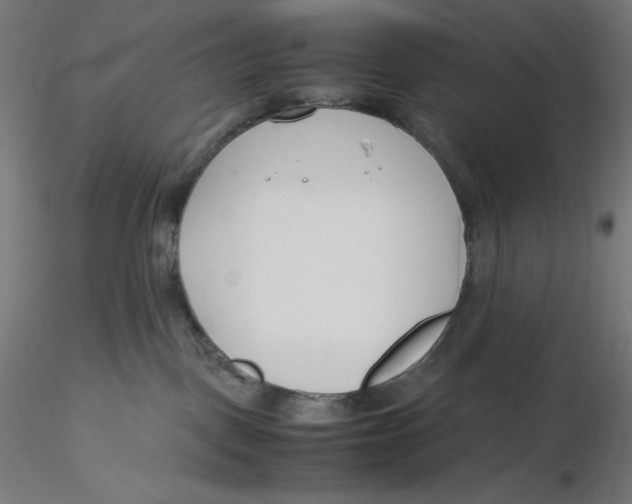 X0000116260093200912291505