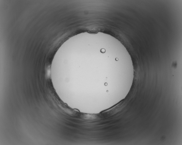 X0000116260095200912291505