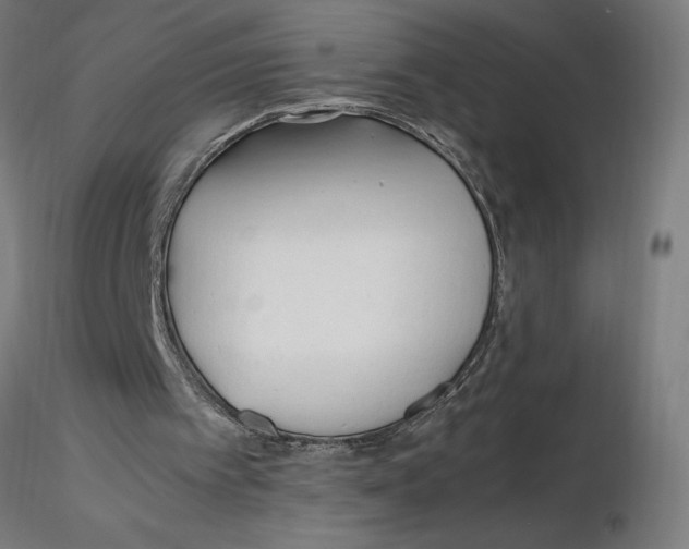 X0000116260097200912291505