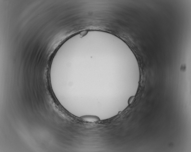 X0000116260098200912291505