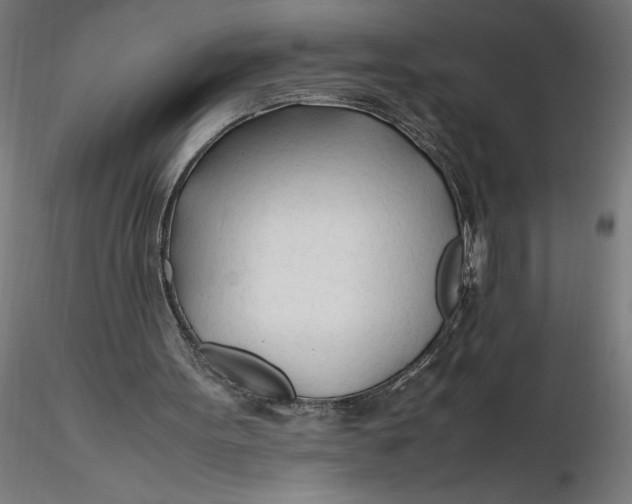 X0000116260099200912291505