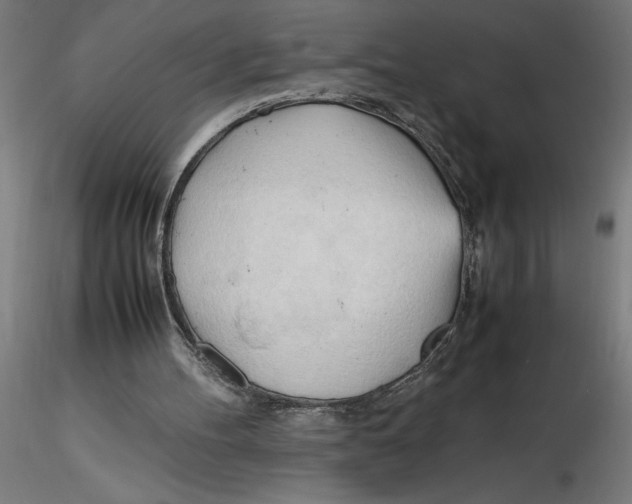 X0000116260100200912291505