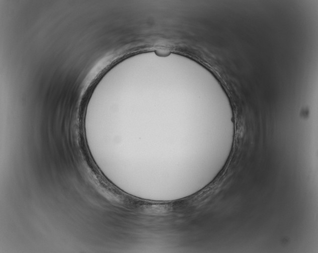 X0000116260102200912291505