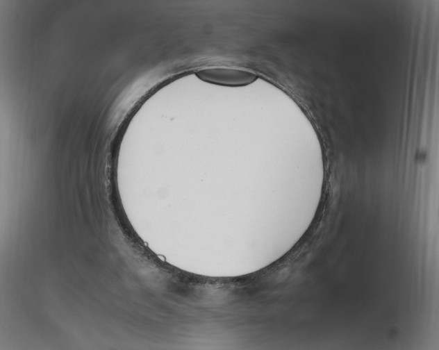 X0000116260103200912291505