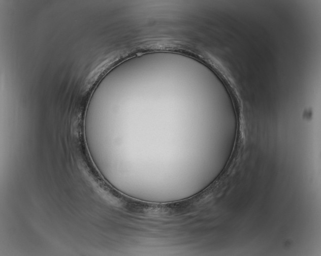 X0000116260105200912291505