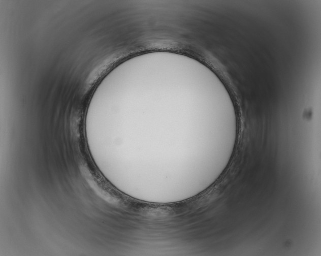 X0000116260106200912291505