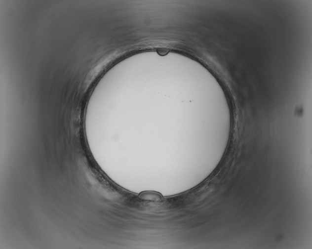 X0000116260107200912291505
