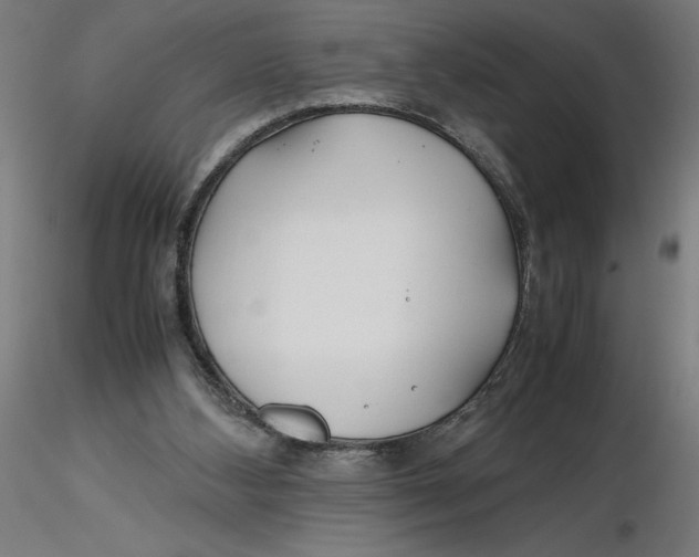 X0000116260108200912291505