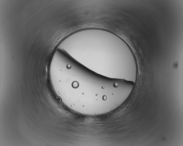 X0000116260109200912291505