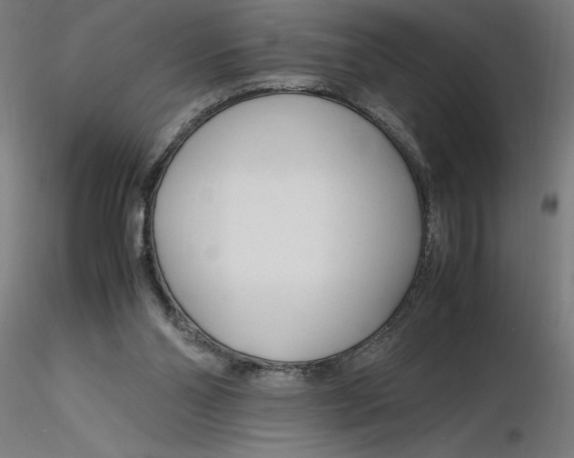 X0000116260110200912291505