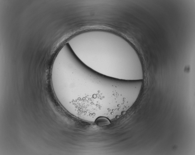 X0000116260111200912291505