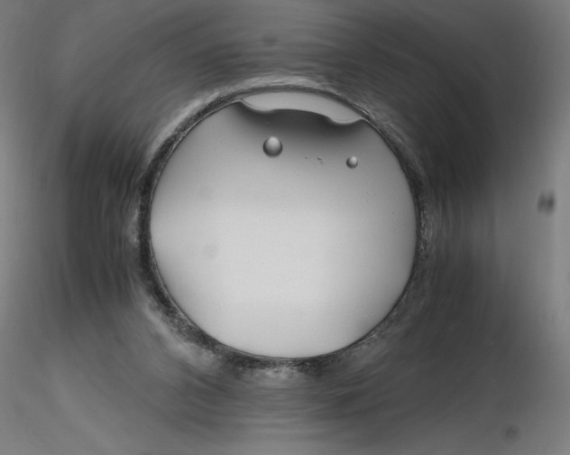 X0000116260112200912291505