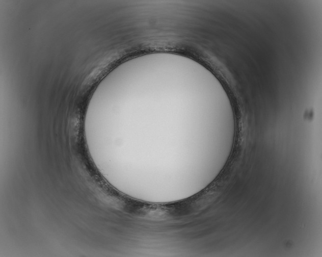 X0000116260113200912291505