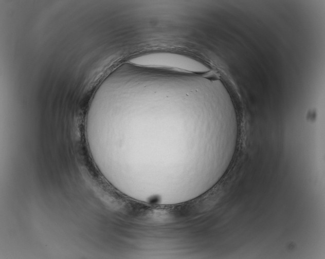X0000116260114200912291505