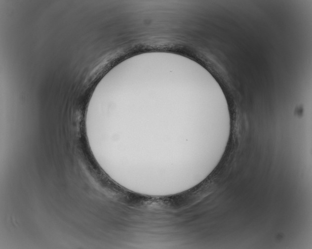X0000116260115200912291505
