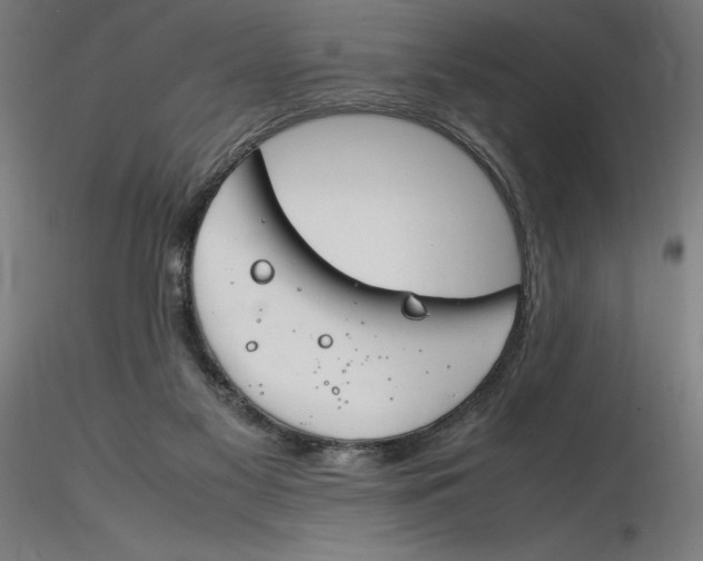X0000116260117200912291505