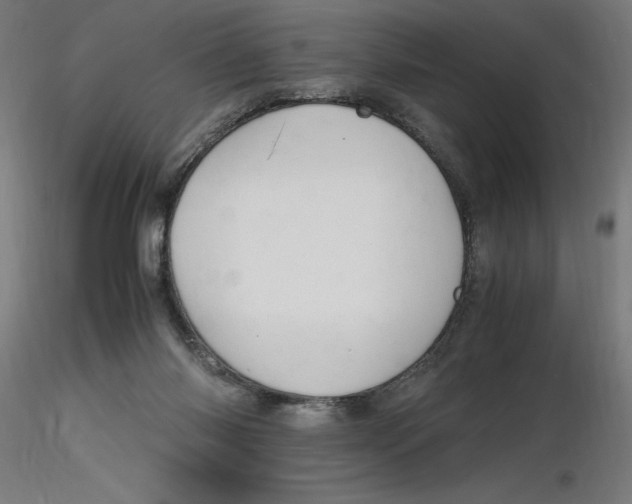 X0000116260118200912291504