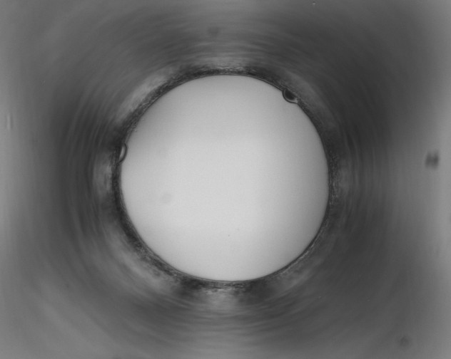 X0000116260120200912291504
