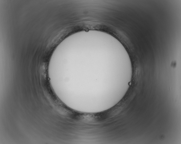 X0000116260121200912291504